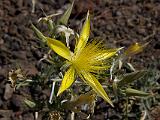 F Lava Beds National Monument 010